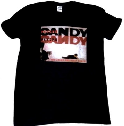 JESUS AND Mary chain Tシャツ CANDY 美品