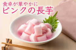 【美しい食卓に】ピンクの長芋100g