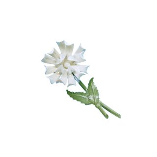 愛らしい白いお花のブローチ