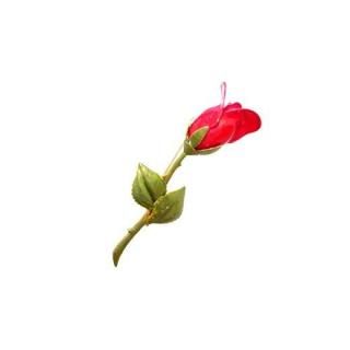 <img class='new_mark_img1' src='https://img.shop-pro.jp/img/new/icons13.gif' style='border:none;display:inline;margin:0px;padding:0px;width:auto;' />ؤ֤鯤鲤Υ֥