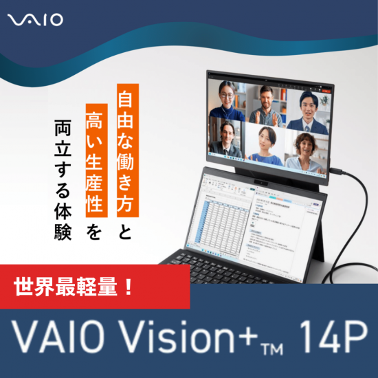 VAIOۥХǥץ쥤 Vision+ 14P -No.421