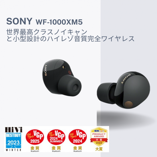 <img class='new_mark_img1' src='https://img.shop-pro.jp/img/new/icons1.gif' style='border:none;display:inline;margin:0px;padding:0px;width:auto;' />SONYۥ磻쥹ۥ - No.461