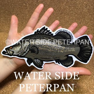 BIGお魚 ステッカー - WATER SIDE PETERPAN