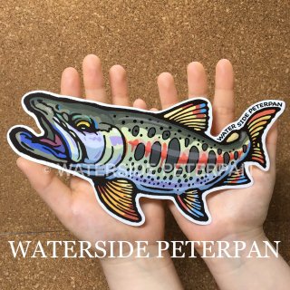 BIGお魚 ステッカー - WATER SIDE PETERPAN