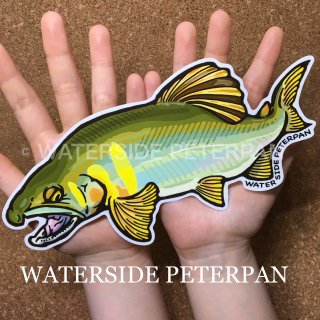 BIGお魚 ステッカー - WATER SIDE PETERPAN