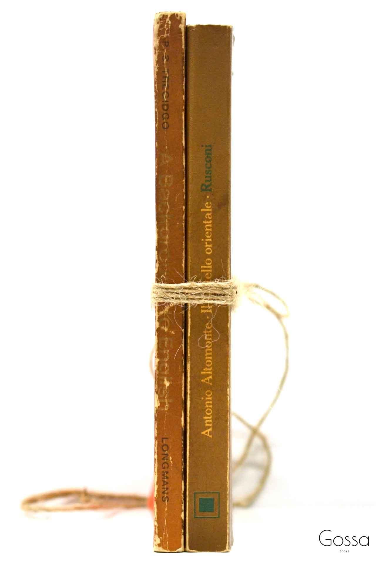 ν ǥץ쥤 2å RZ-6128