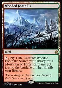 樹木茂る山麓 英語 2枚 Amazon.co.jp: MTG 樹木茂る山麓 Wooded Foothills 英語版 2枚