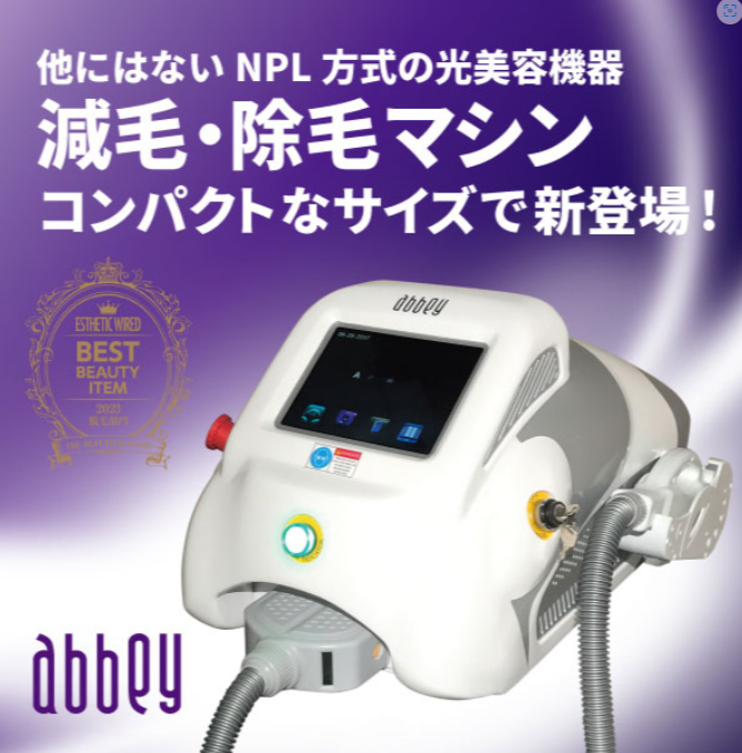 ꥪ巿æӵ abbey  ӡ
