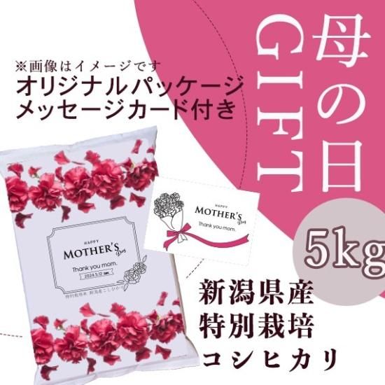 母の日 新潟県産コシヒカリ 特別栽培米 母の日オリジナルデザイン 30年度 5 送料別 東京都杉並区荻窪 森田屋米店 大正15年創業の 老舗米屋 通販 店頭販売 配達 Jas有機 特別栽培 全国のブランド米