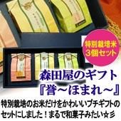 ĲΥեȡۤޤ졼300g3ꡡ鲽Ȣ̡