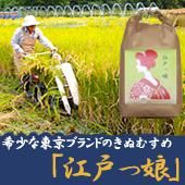 <img class='new_mark_img1' src='https://img.shop-pro.jp/img/new/icons25.gif' style='border:none;display:inline;margin:0px;padding:0px;width:auto;' />3ǯ١۹̼ͤʤɤä˴ơ߻ԤΤ̤ह̡ϡ5kg