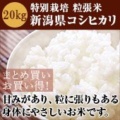 ブランドのギフト 無農薬米新潟県コシヒカリ20k 米/穀物