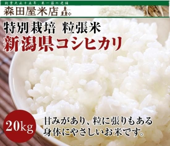 【令和4年度】ＥＭ農法　粒張米　新潟県コシヒカリ 20kg玄米　＜減農薬、減化学肥料＞《無洗米できます》［送料別］ - 東京都杉並区荻窪【森田屋米店】　 -　大正15年創業の老舗米屋。通販、店頭販売、配達、JAS有機、特別栽培、全国のブランド米