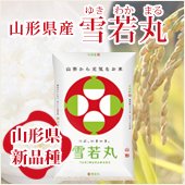 【令和4年産】雪若丸　特別栽培米　山形県［送料別］《5kg》