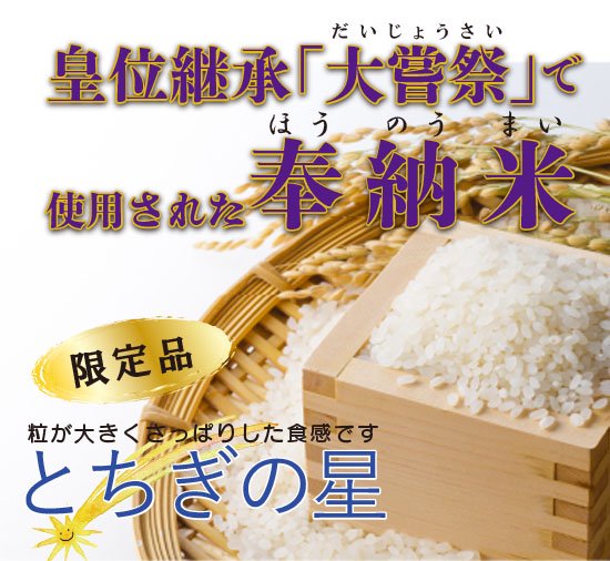 令和２年 栃木県産 とちぎの星 玄米 10kg