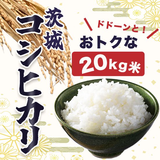 令和4年産】茨城県 こしひかり＜20kg玄米＞《無洗米できます》［送料別