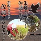 7ǯ̺ۢƢϥҥ5为俷㸩̡