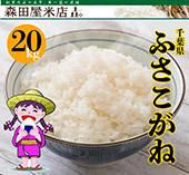 <img class='new_mark_img1' src='https://img.shop-pro.jp/img/new/icons1.gif' style='border:none;display:inline;margin:0px;padding:0px;width:auto;' />5ǯոդ͡20kgơ̵ƤǤޤա̡