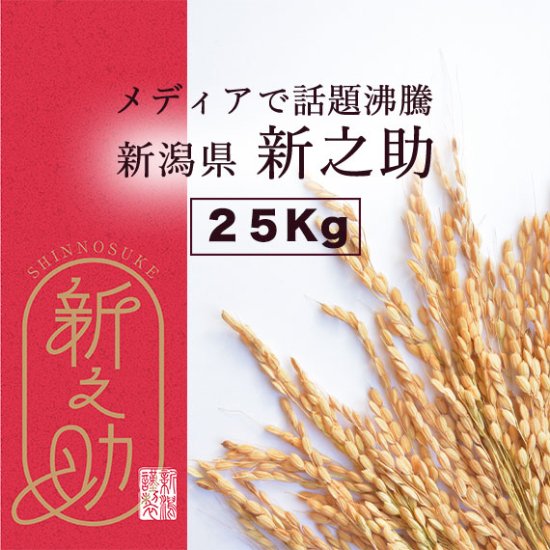 令和5年産】メディアで話題沸騰！新潟県 新之助＜まとめ売り25kg玄米