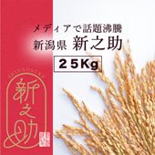 【令和3年産】メディアで話題沸騰！新潟県　新之助＜まとめ売り25kg玄米＞［送料別］