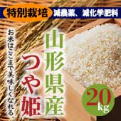 令和5年度】 特別栽培 つや姫 玄米20kg＜減農薬、減化学肥料＞《無洗米