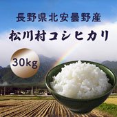 【令和3年度】長野県北安曇野松川村のコシヒカリ＜30kg玄米まとめ売り＞ 《無洗米できます》［送料別］