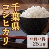【令和4年産】千葉県 コシヒカリ＜まとめ売り25kg玄米＞《無洗米できます》［送料別］