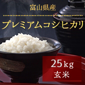 【令和5年産】富山県プレミアムコシヒカリ＜25kg玄米まとめ売り＞《無洗米できます》［送料別］