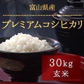 【令和5年産】富山県プレミアムコシヒカリ＜30kg玄米まとめ売り＞《無洗米できます》［送料別］