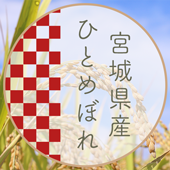 7ǯ۵ܾ븩 ҤȤܤ̵ƤǤޤա̡