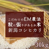 新米 - 森田屋米店【大正15年創業 荻窪老舗米店】