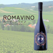 ROMAVINOץ󥹡ߥ奢 եƥ ̡ͥ 