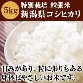 7ǯ١EMˡγĥơ㸺俷㸩ҥ̡