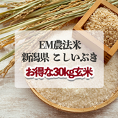 7ǯ١ۣţˡ㸩֤γĥơԤ30kgơա̵ƤǤޤհٿ٤顢¤դơ̡