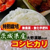 7ǯ̺ݡͺΥҥ ̡ϸ 븩