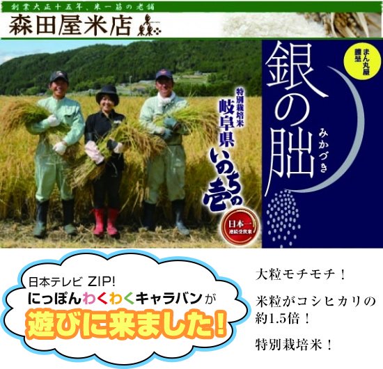 【令和5年度】特別栽培　銀の朏　ぎんのみかづき　＜いのちの壱＞＜食味コンクール受賞＞ ［送料別］ 岐阜県 - 東京都杉並区荻窪【森田屋米店】　-　 大正15年創業の老舗米屋。通販、店頭販売、配達、JAS有機、特別栽培、全国のブランド米