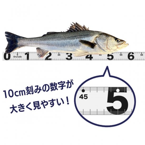 ステッカーメジャー 販売 80cm