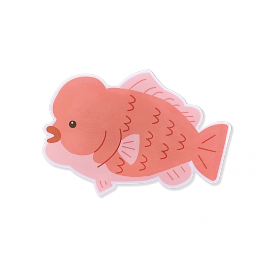 オルルド釣具 ステッカー 可愛いアニメ調のお魚シリーズ コブダイ Fishing Japan By Sib フィッシングジャパン 公式 直営店 オルルド釣具 ステッカー 可愛いアニメ調のお魚シリーズ コブダイ Fishing Japan By Sib フィッシングジャパン 公式 直営店