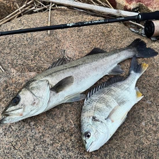 オルルド釣具】ロングキャスルド 13ft XXXH|Fishing Japan by オルルド釣具】ロングキャスルド 13ft XXXH|Fishing Japan by