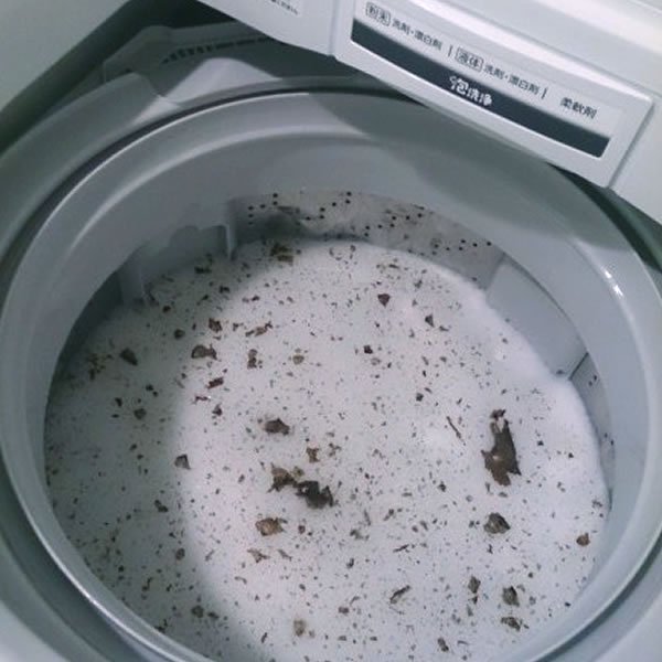 木村石鹸 洗濯槽の洗浄剤 A／B