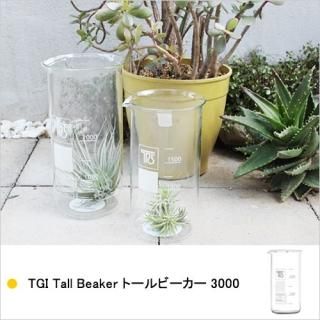 TGI Tall Beaker ȡӡ 3000 ˥