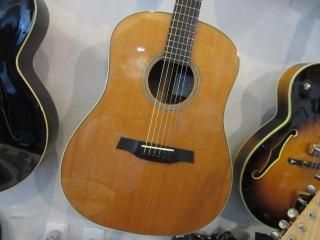 TACOMA:P-1