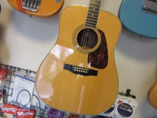 再×14入荷 モーリス morris m501 M501 - アコースティックギター