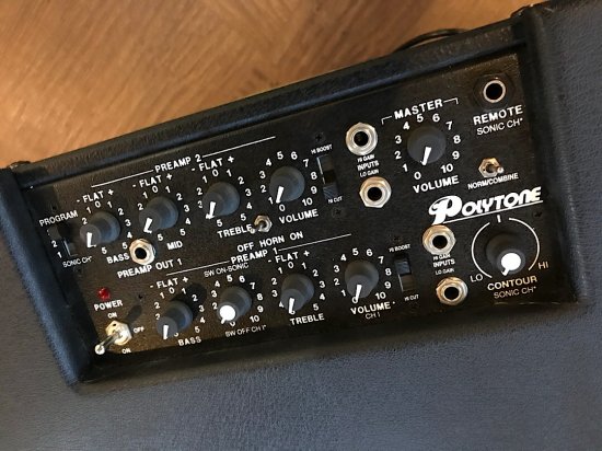 Polytone Mini Brute III 15インチ-