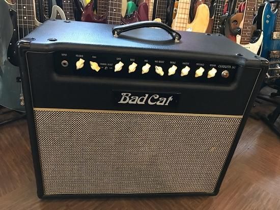 BAD CAT COUGAR 50 バッドキャットのコストパフォーマンス機種 