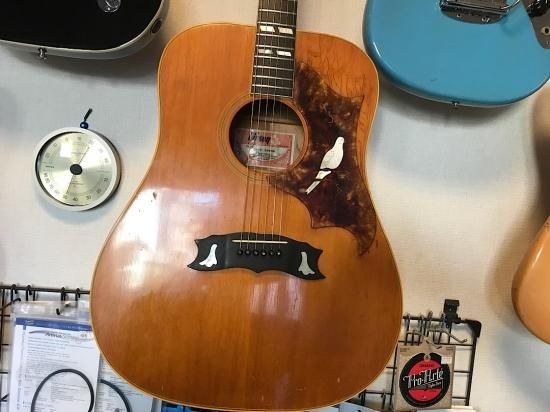 Gibson Dove Custom 70年代のdoveカスタムです 使い込んだ雰囲気がカッコいい一本 ギター買取 東京 ギターのじゃべらぼう Gibson Dove Custom 70年代のdoveカスタムです 使い込んだ雰囲気がカッコいい一本 ギター買取 東京 ギターのじゃべらぼう