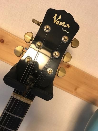 VESTAGRAHAM VG2450 激レアのベスタのローズウッド単板セミアコ