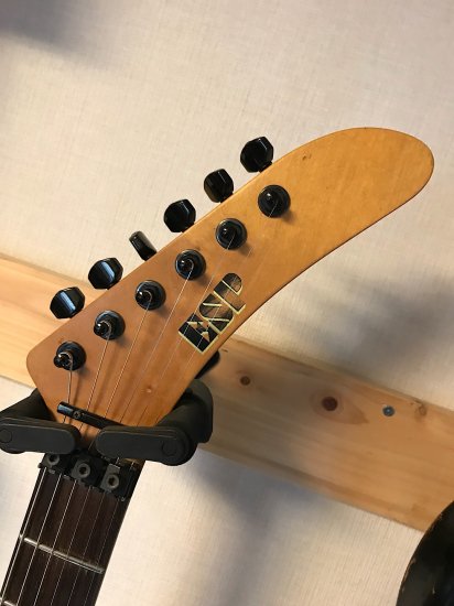 ESP SGL-300PT ESPのジョージリンチモデル！パープルタイガーです！ - ギター買取 東京 - ギターのじゃべらぼう