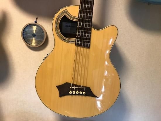 WARWICK ALIEN 5 WAC1575 SBU ユニークなデザインのワーウィックの５弦