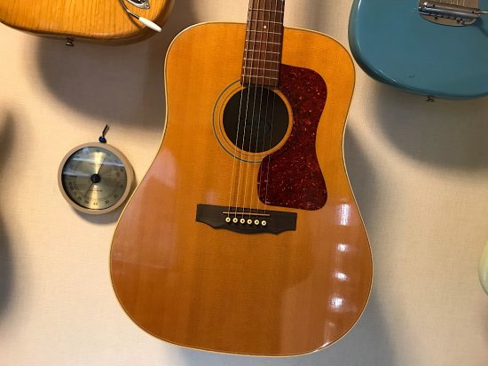 GUILD D-30 ギルドのD-30！メイプルボディならではのサウンドが魅力